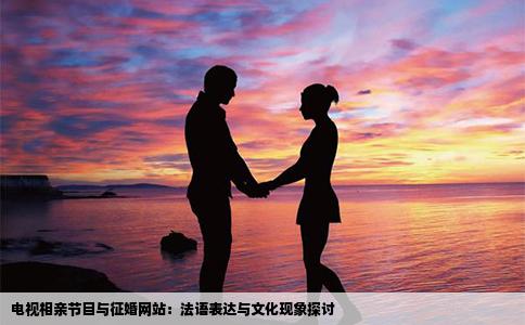电视相亲节目与征婚网站：法语表达与文化现象探讨