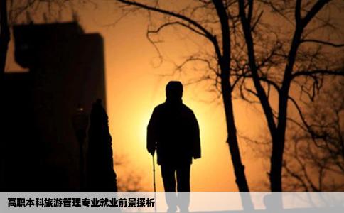 高职本科旅游管理专业就业前景探析