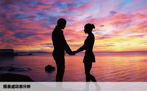 相亲成功率分析