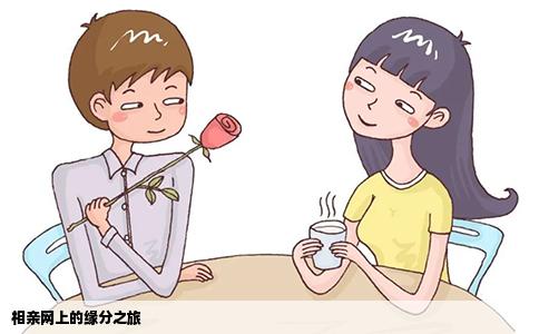 相亲网上的缘分之旅