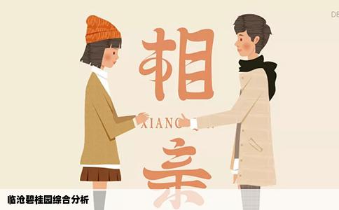 临沧碧桂园综合分析