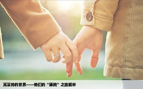 高富帅的世界——他们的“舔狗”之旅解析