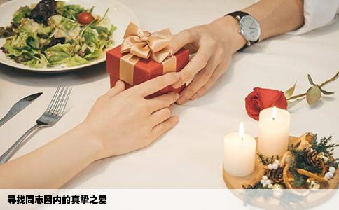 寻找同志圈内的真挚之爱