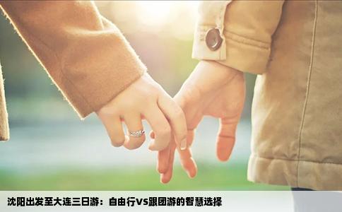沈阳出发至大连三日游：自由行VS跟团游的智慧选择