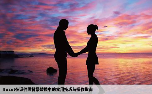 Excel在证件照背景替换中的实用技巧与操作指南