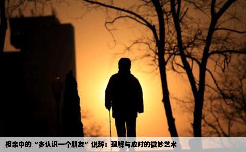 相亲中的“多认识一个朋友”说辞：理解与应对的微妙艺术