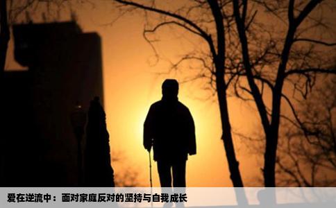 爱在逆流中：面对家庭反对的坚持与自我成长