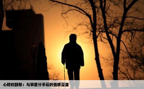 心碎的静默：与挚爱分手后的情感深渊