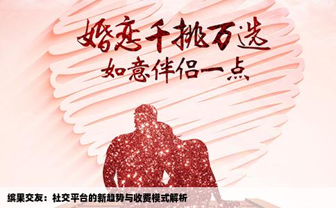 缤果交友：社交平台的新趋势与收费模式解析