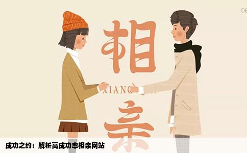 成功之约：解析高成功率相亲网站