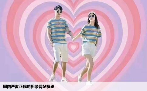 国内严肃正规的相亲网站概览