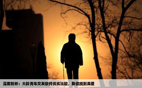 深度剖析：大龄青年交友软件优劣比较，助你找到真爱