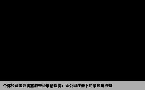 个体经营者赴美旅游签证申请指南：无公司注册下的策略与准备