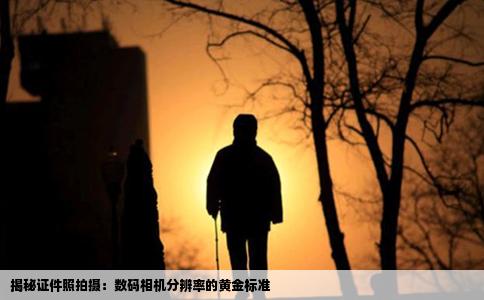 揭秘证件照拍摄：数码相机分辨率的黄金标准
