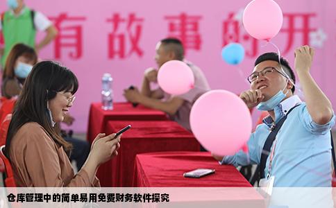 仓库管理中的简单易用免费财务软件探究