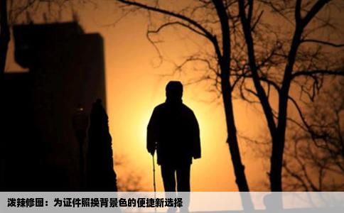 泼辣修图：为证件照换背景色的便捷新选择