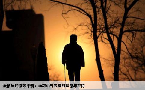 爱情里的微妙平衡：面对小气男友的智慧与坚持