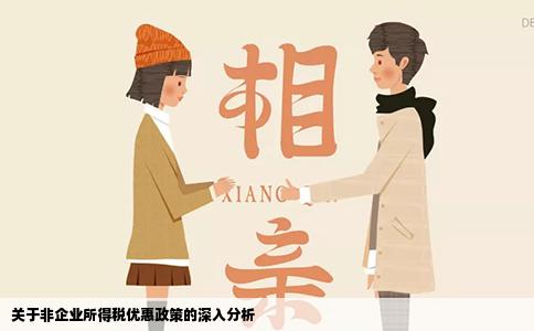 关于非企业所得税优惠政策的深入分析