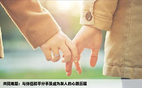 共同难题：与伴侣和平分手及成为友人的心路历程